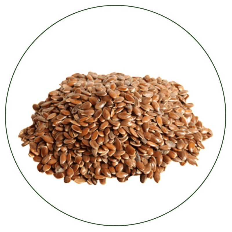 Flax Seeds