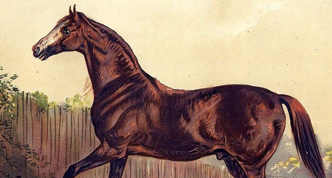 Feeding Horses in the 1800s - BioStar US