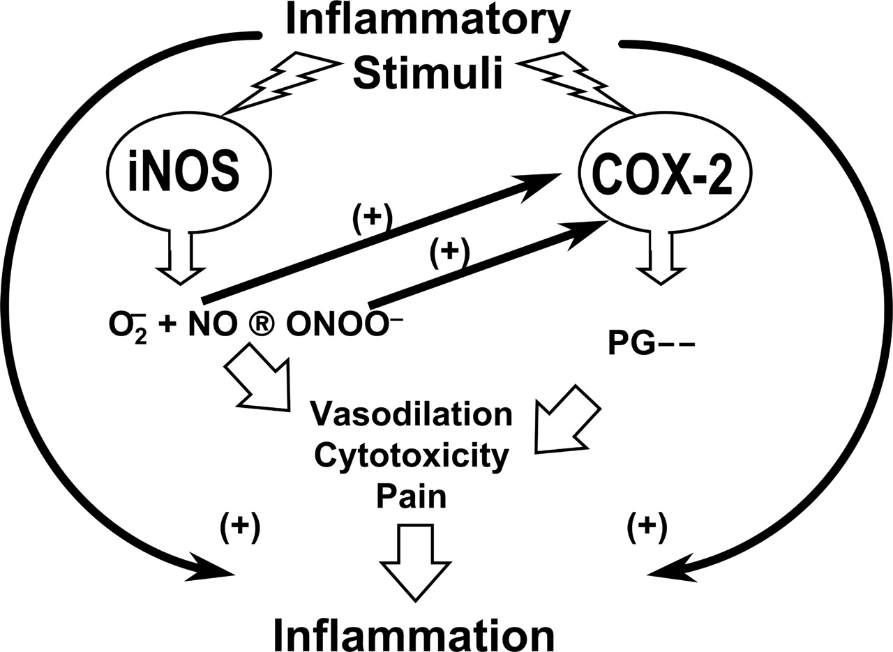 nitricoxide.jpg